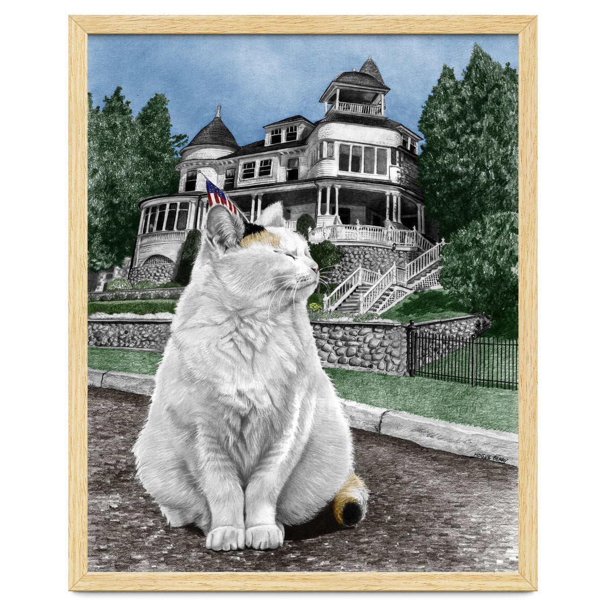 Mackinac Island Cat
