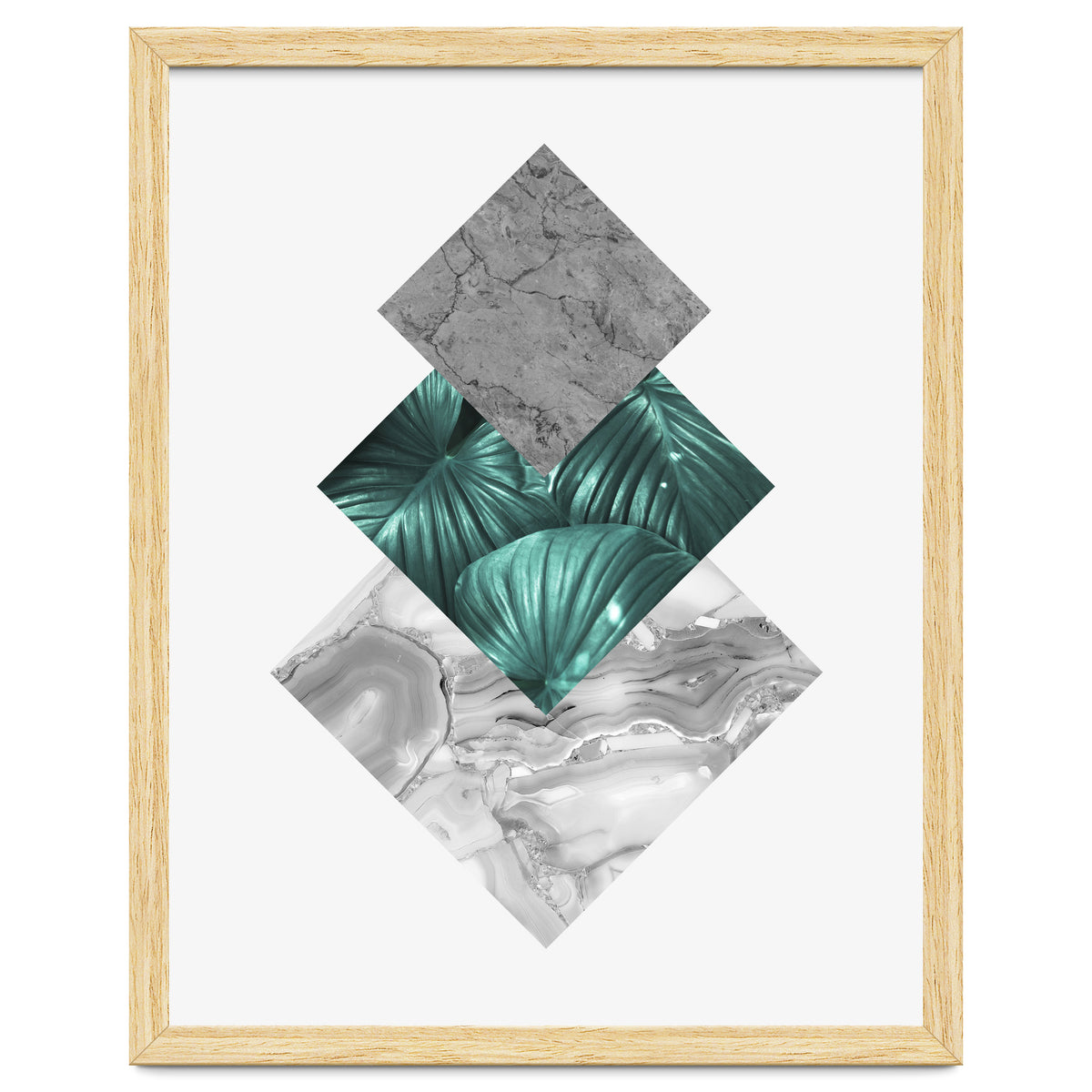 Botanical and geometric V