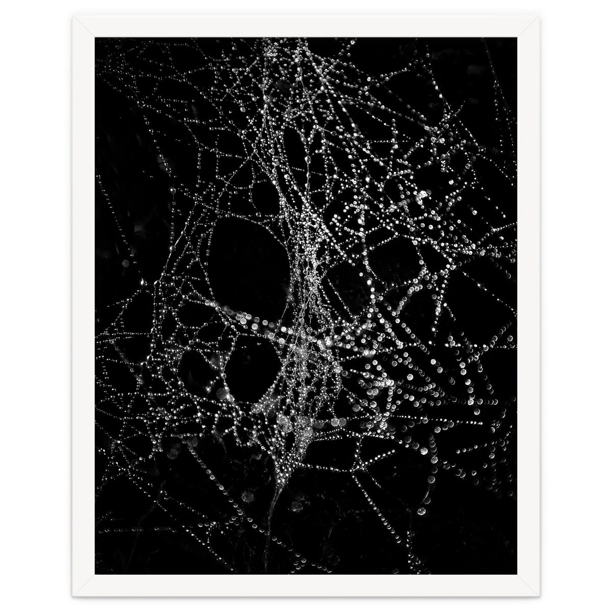 Spiderweb No 4