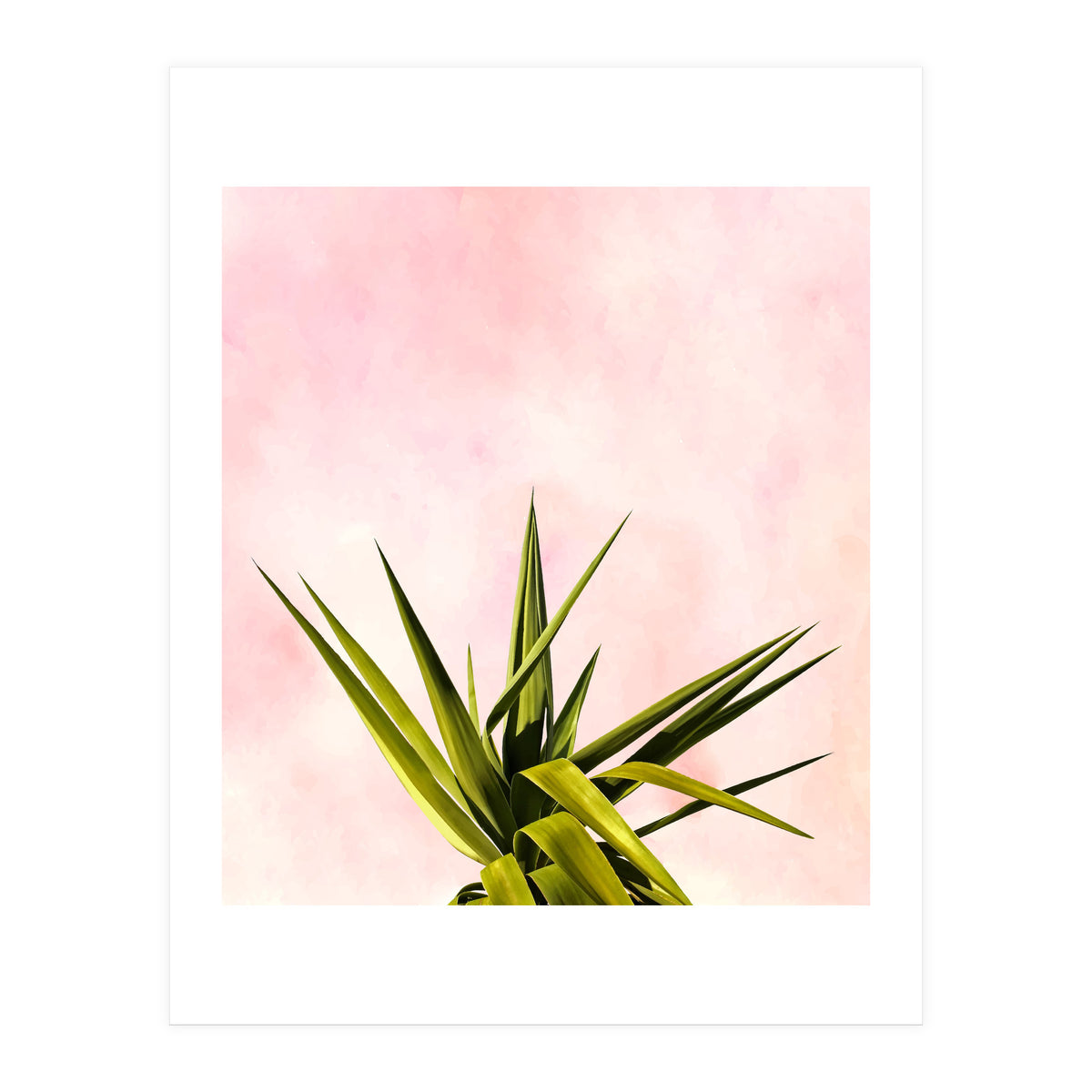 Joy Of Dreams (Print Only)