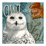 Snow Owl (Print Only) thumbnail