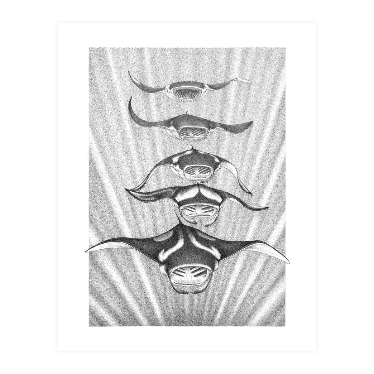 Manta Train (Print Only)