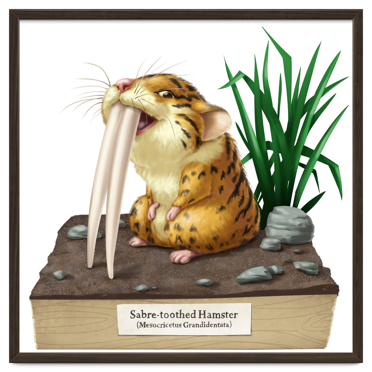 Saber-toothed Hamster