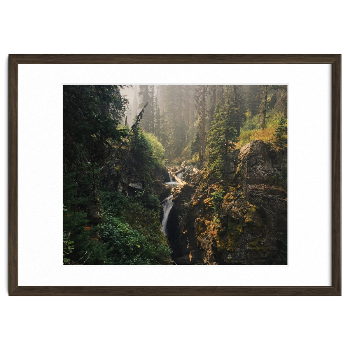 Glacier National Park I