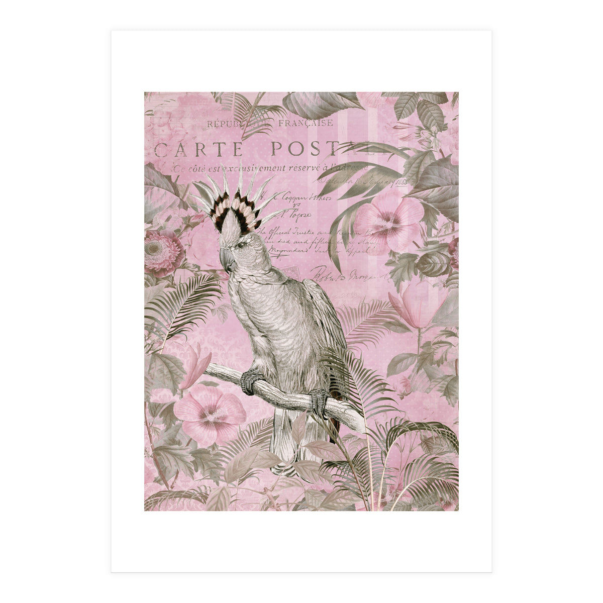 Jungle Cockatoo Pink (Print Only)