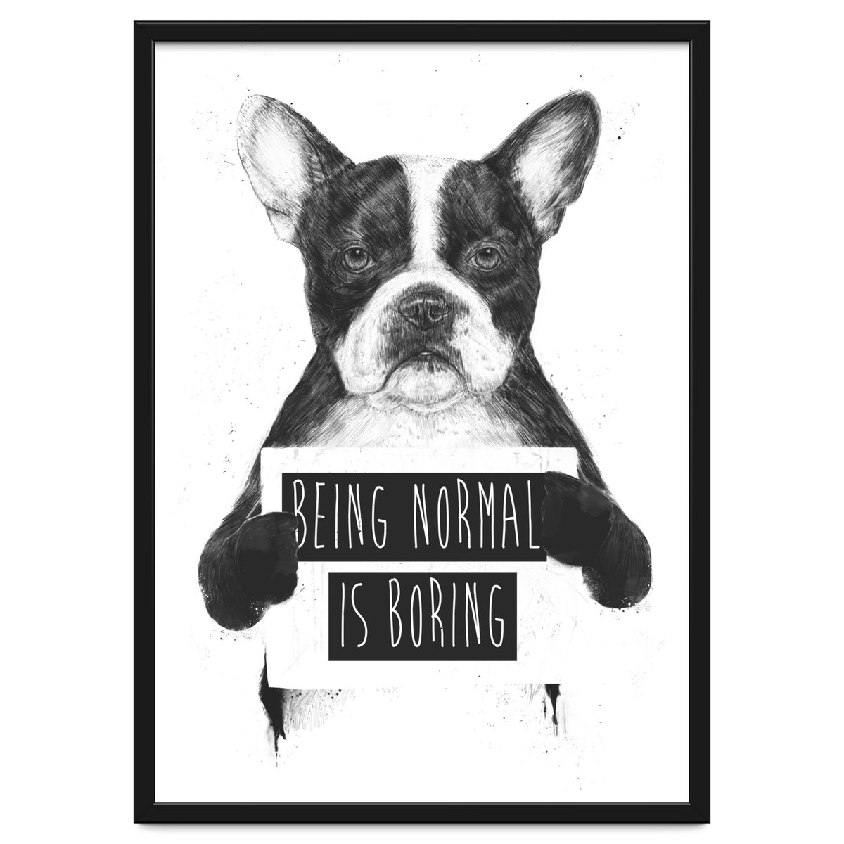 Being Normal Is Boring