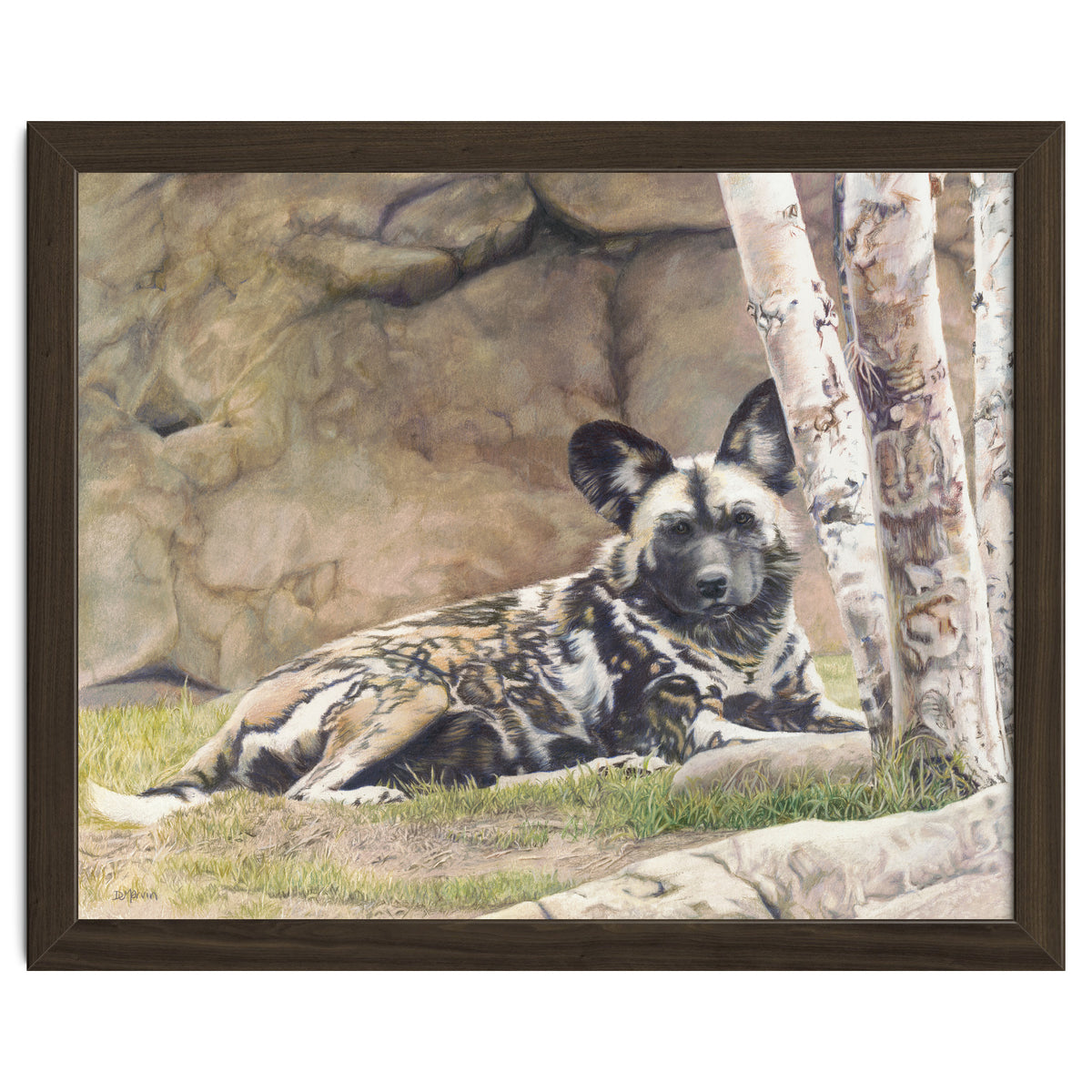 Afican Painted Dog IV - Imara