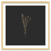 Moody Golden Botanicals - Square