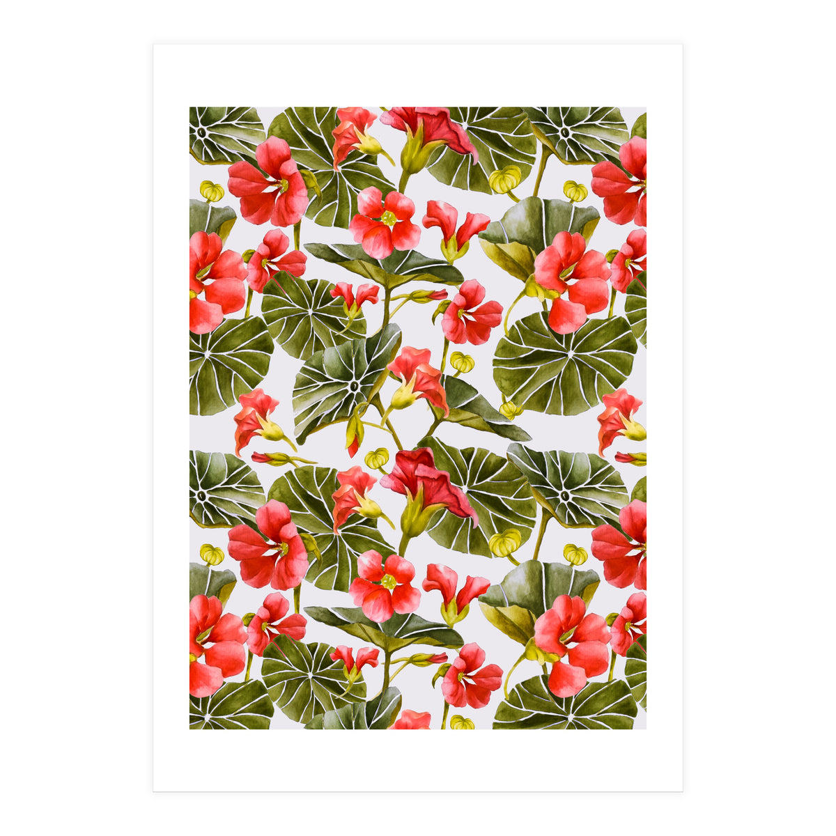 Nasturtiums watercolor 02 (Print Only)