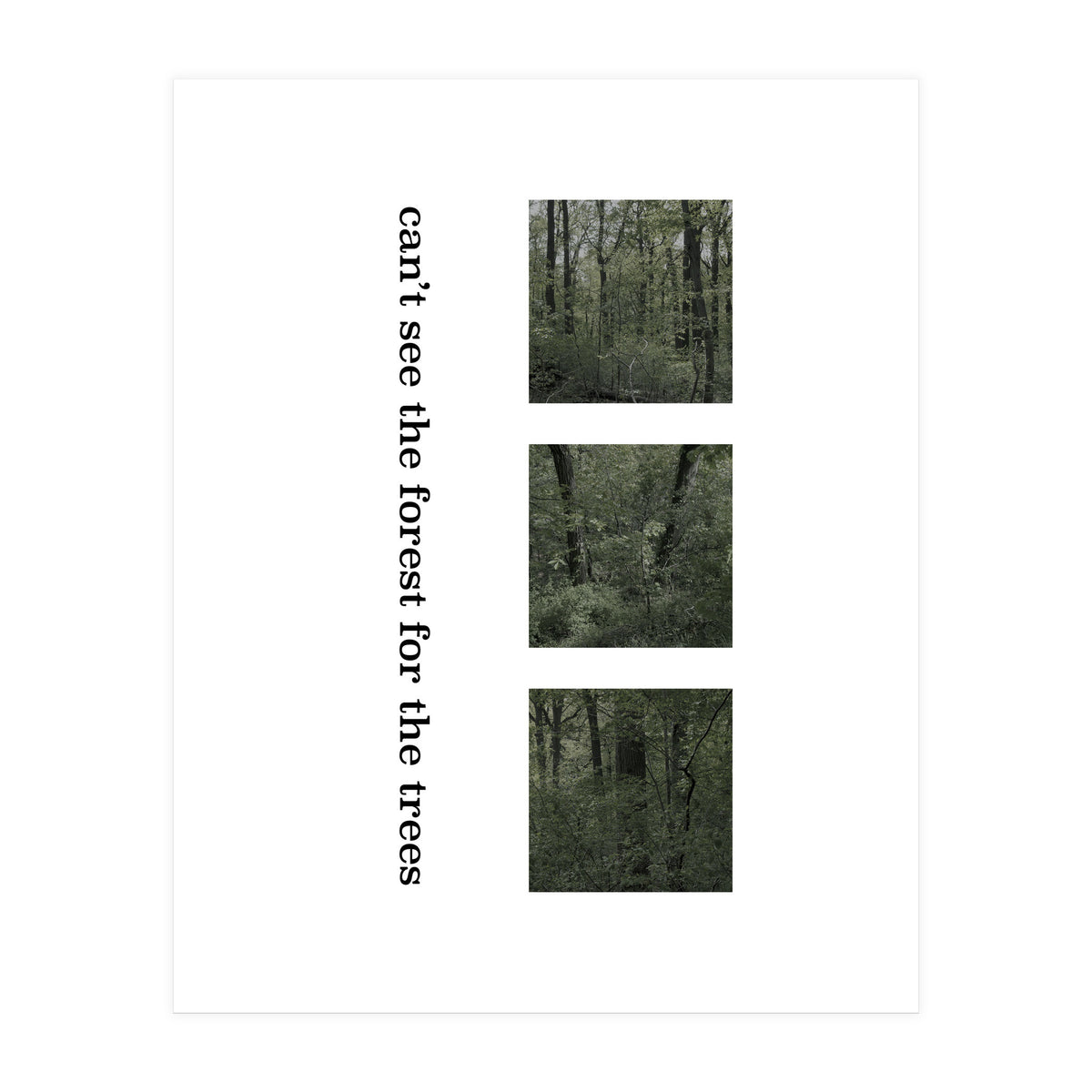 can’t see the forest for the trees (Print Only)