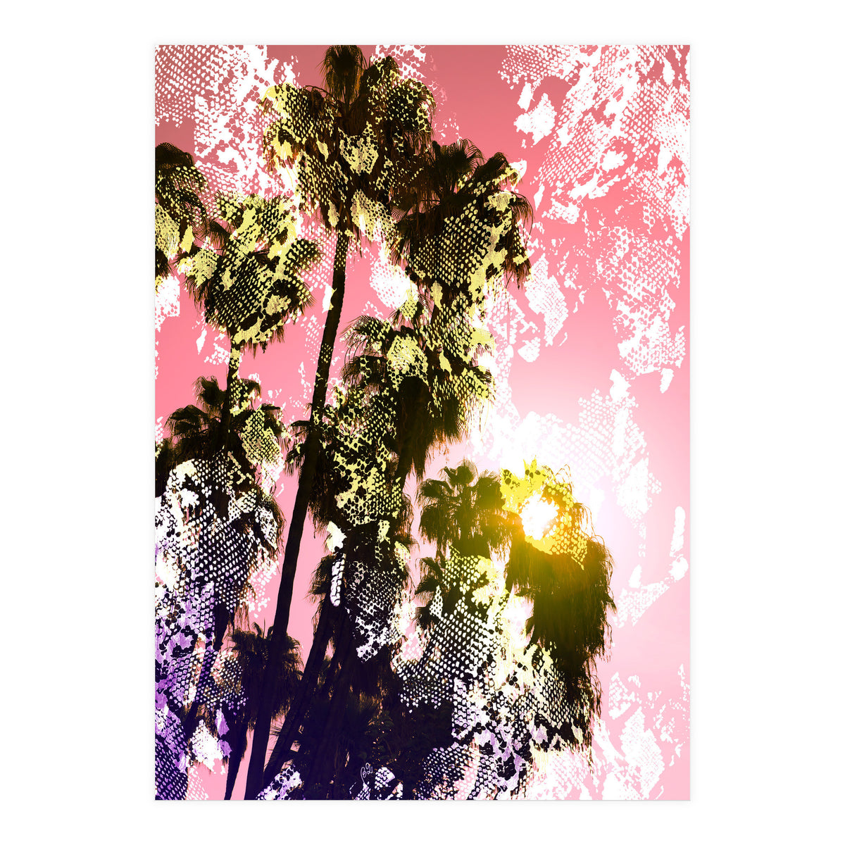 Snake sunset in paradise  (Print Only)