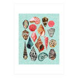 Seashells (Print Only) thumbnail