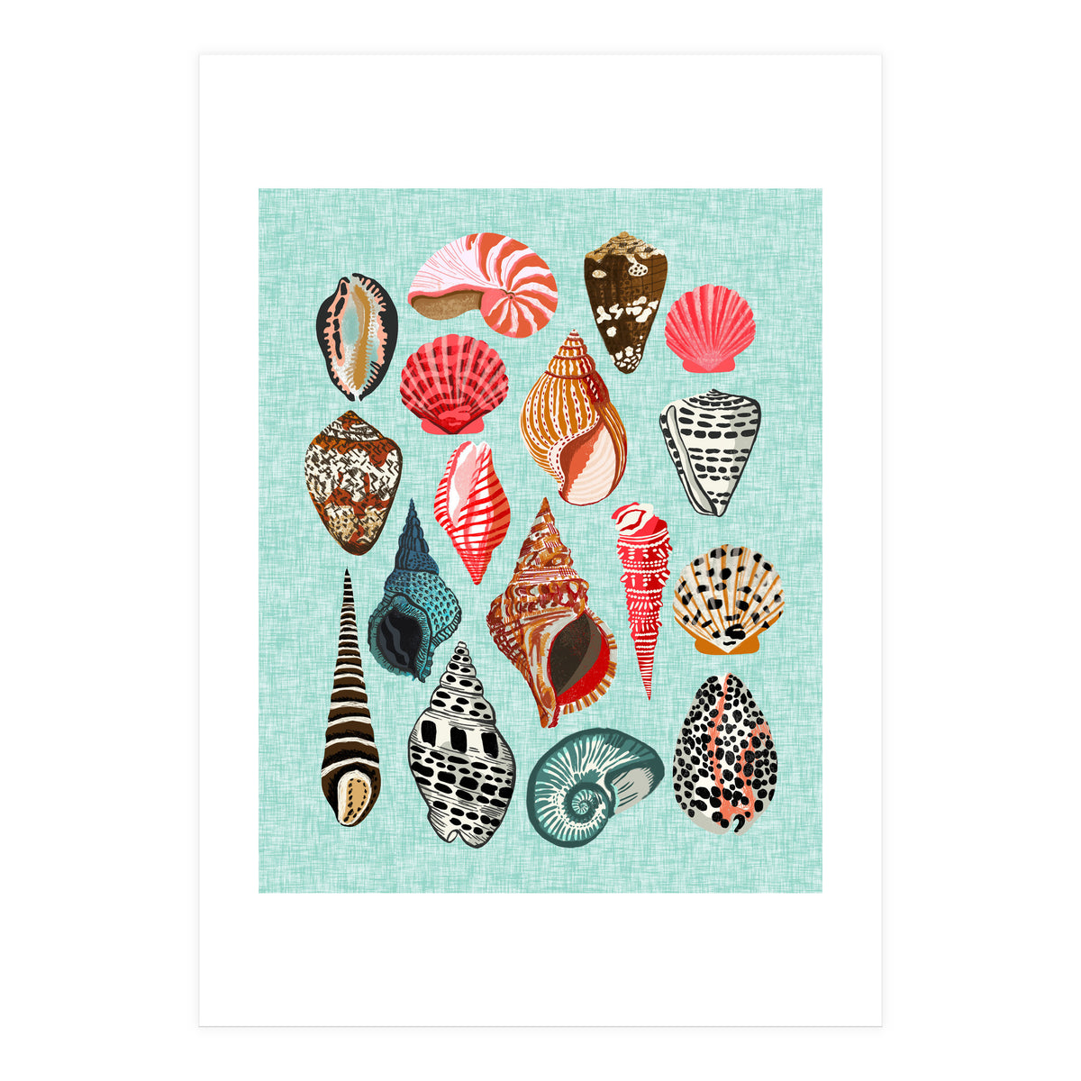 Seashells (Print Only)