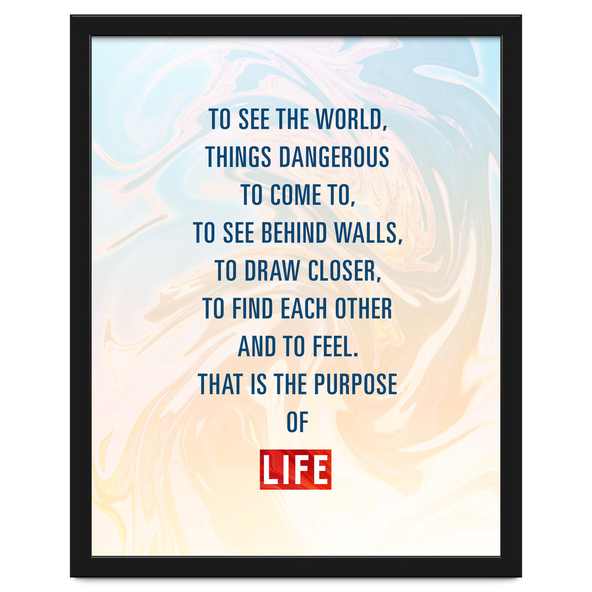 Secret Life of Walter Mitty