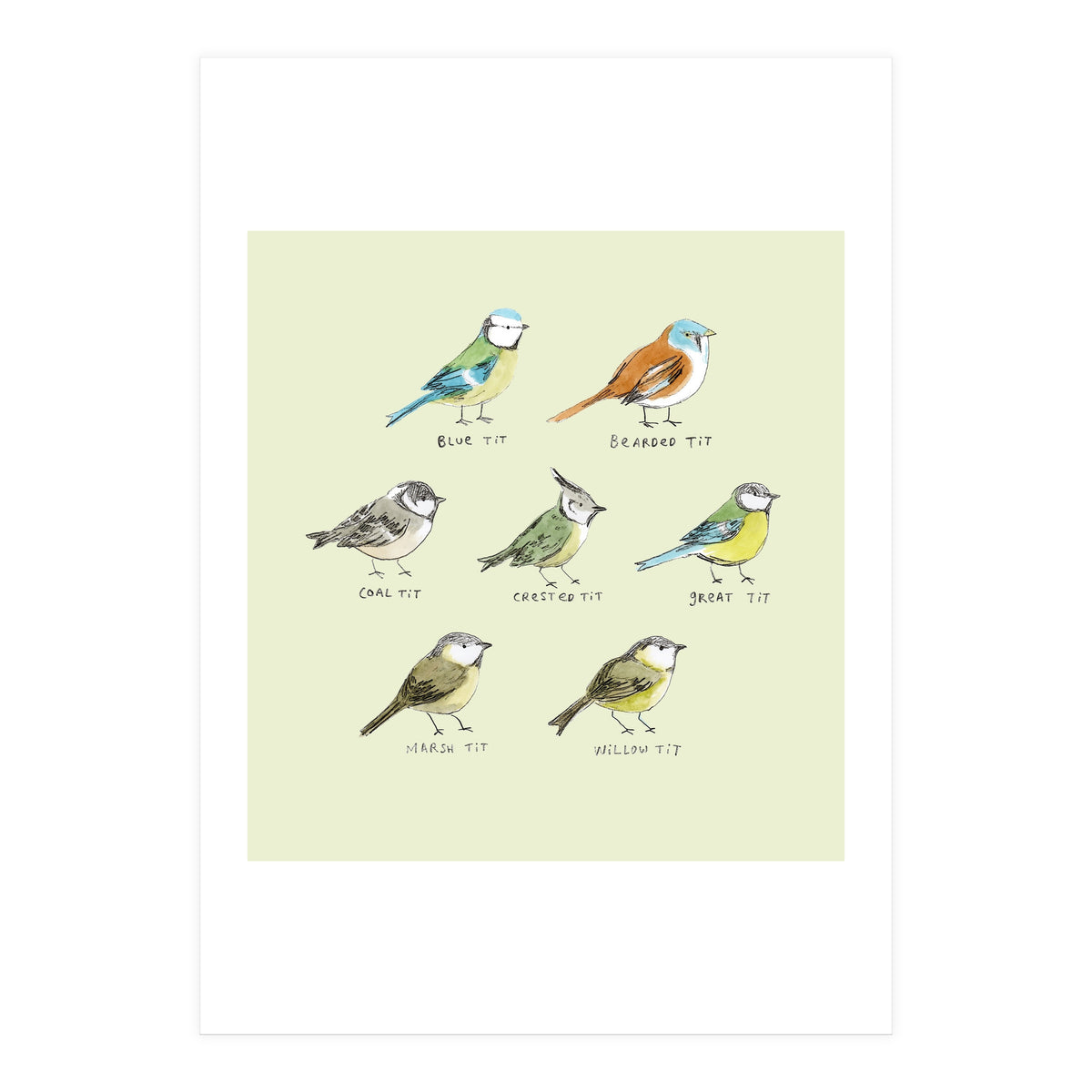 The Tit Family (Print Only)