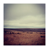 Bleak winter landscape of Saddleworth Moor  (Print Only) thumbnail