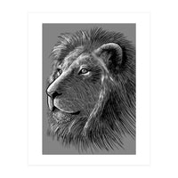 Sketch Lion (Print Only)