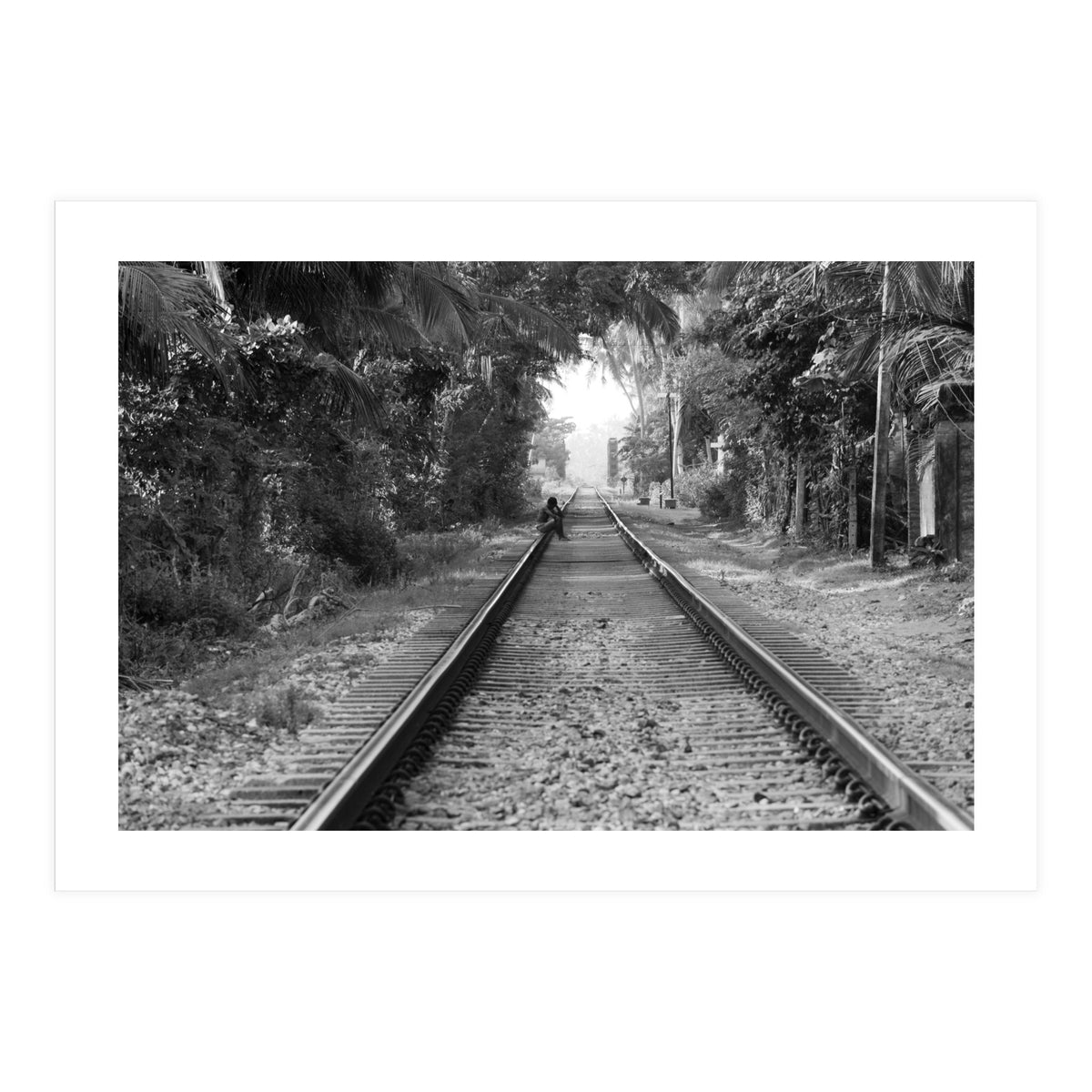 Colombo, Sri Lanka (Print Only)