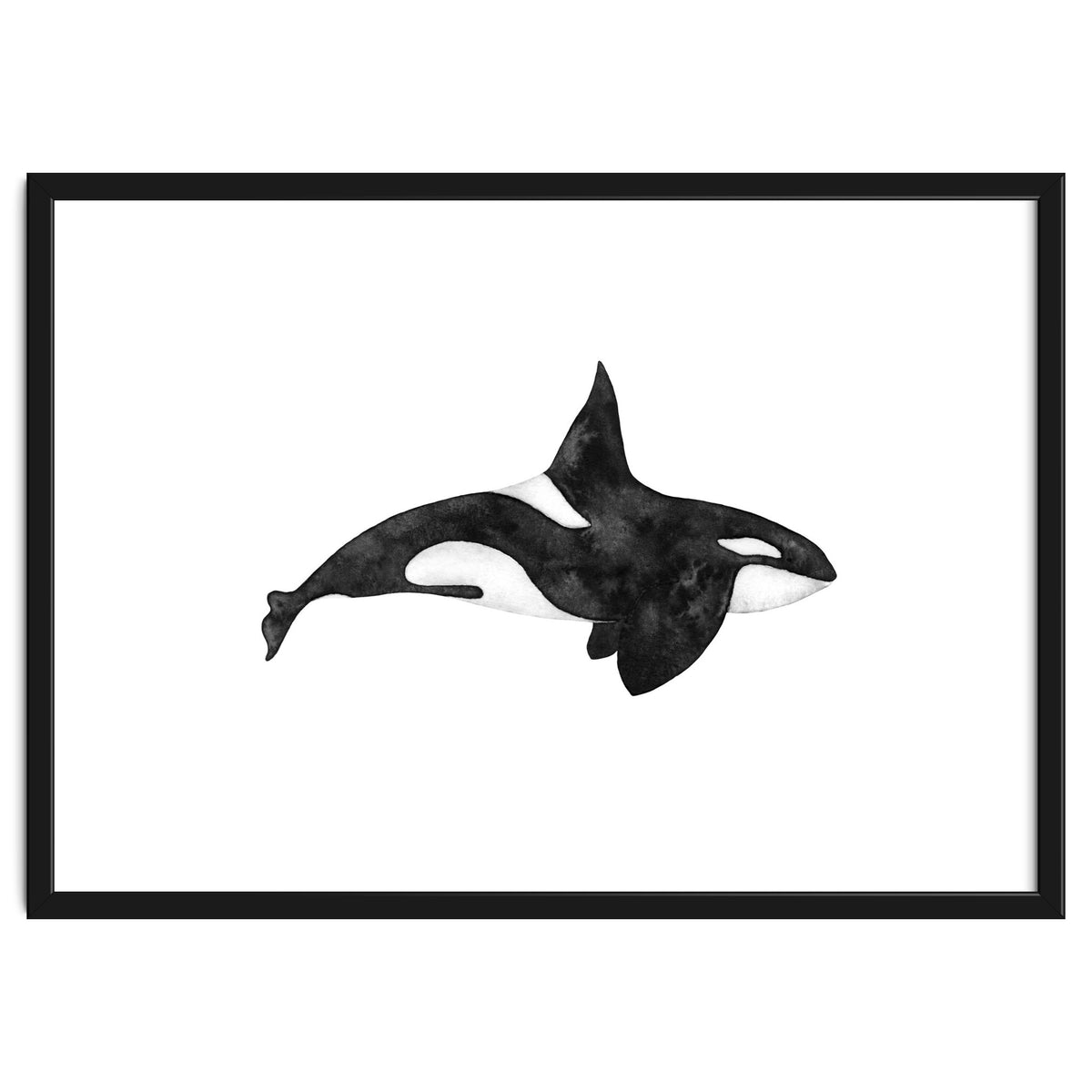 Orca