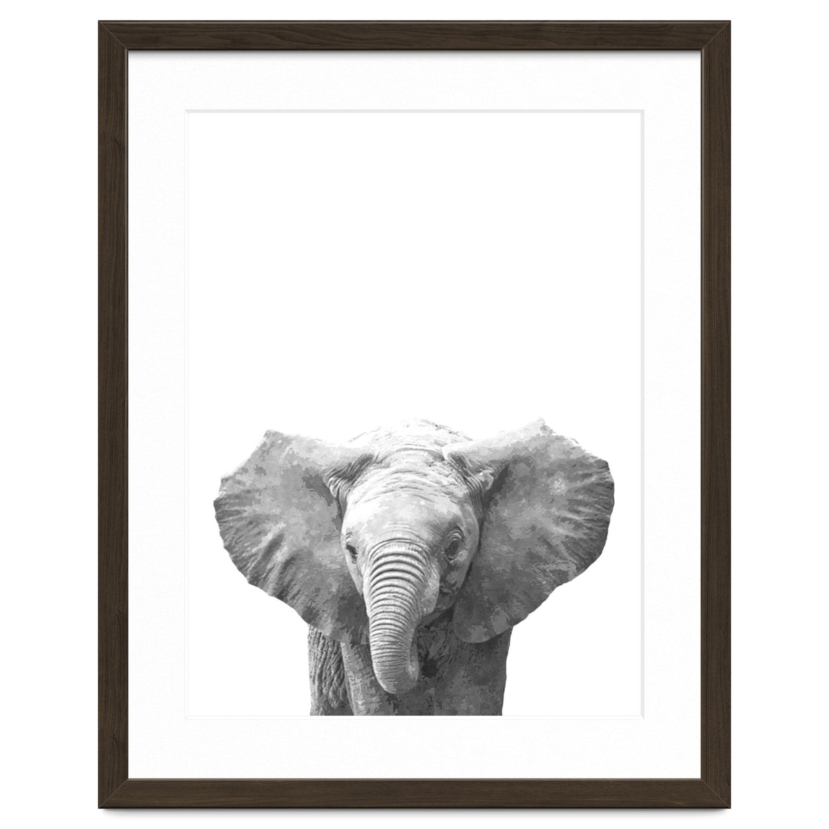 Black and White Baby Elephant
