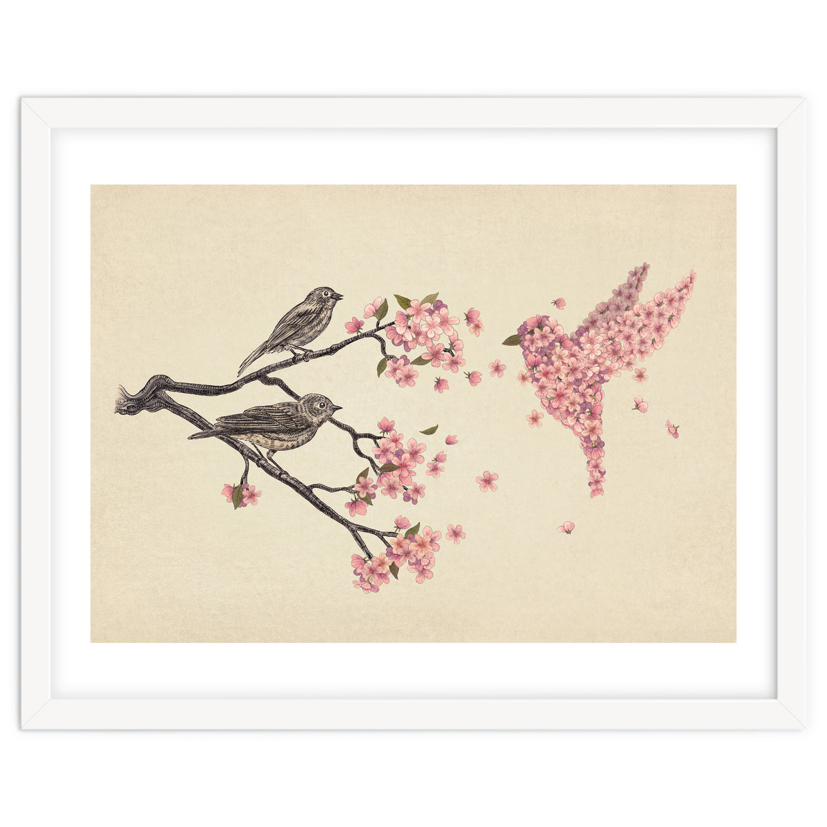 Blossom Bird