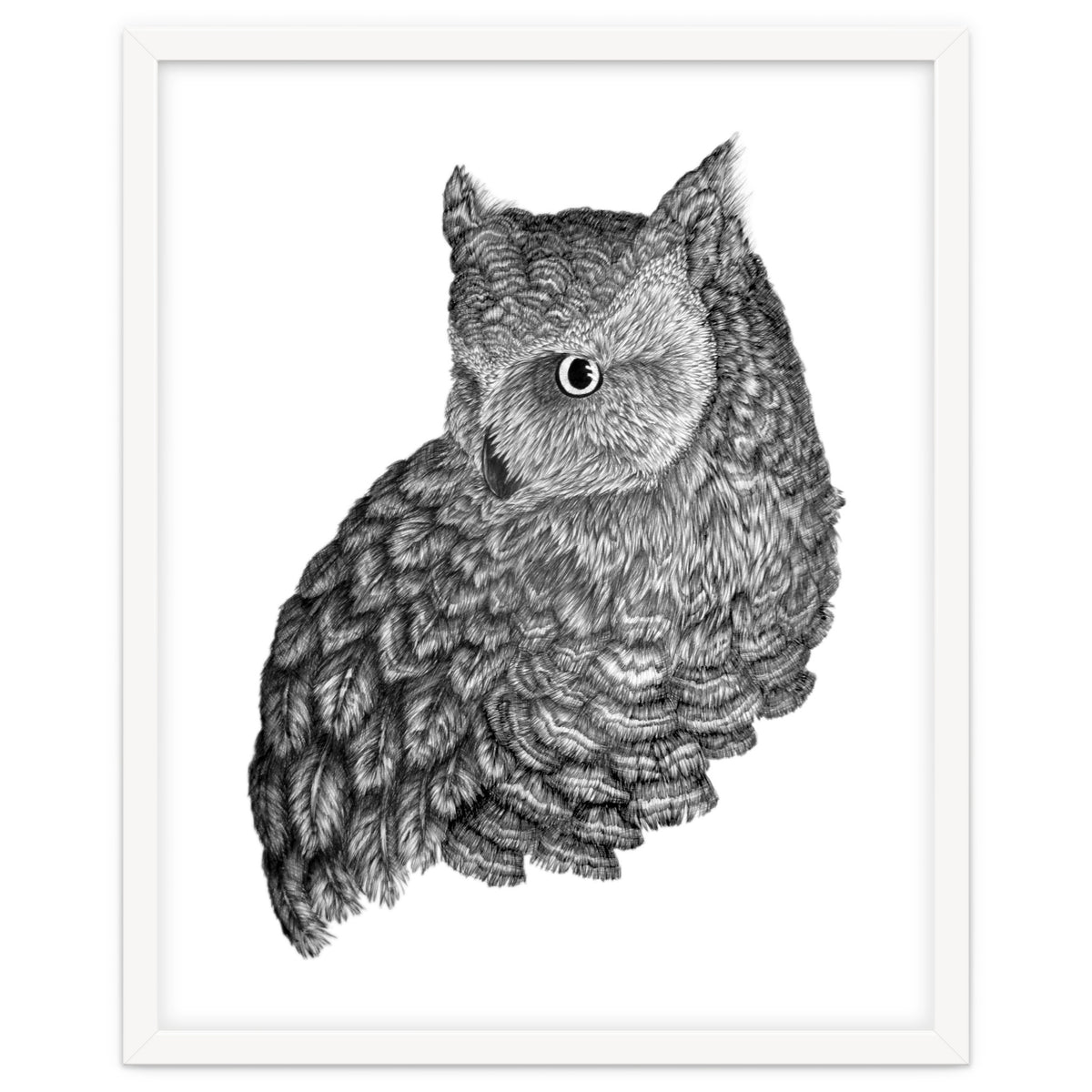 A Friend For Forsythe