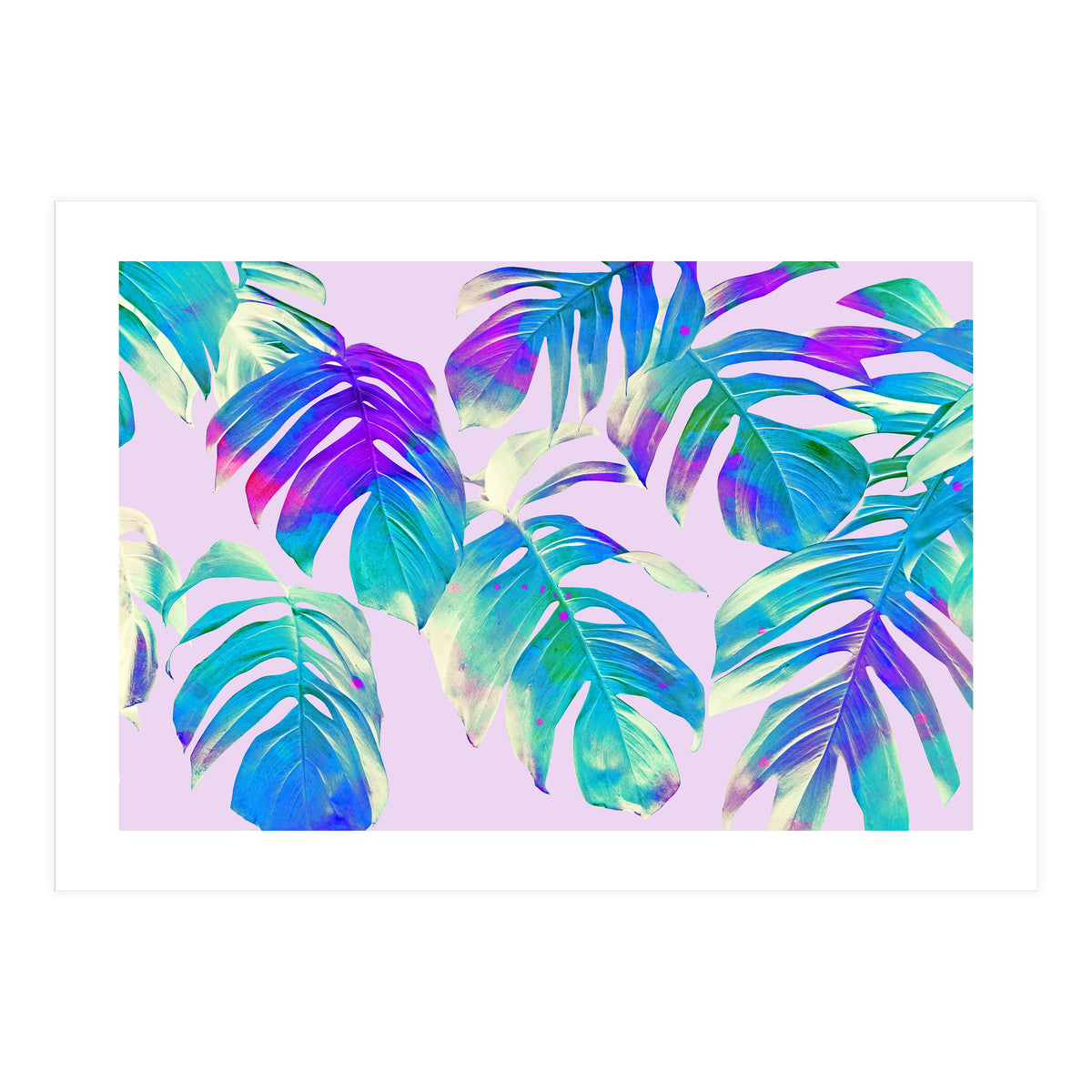Monstera Leaves (Print Only)