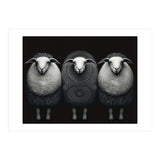 Fashion Sheep (Print Only) thumbnail