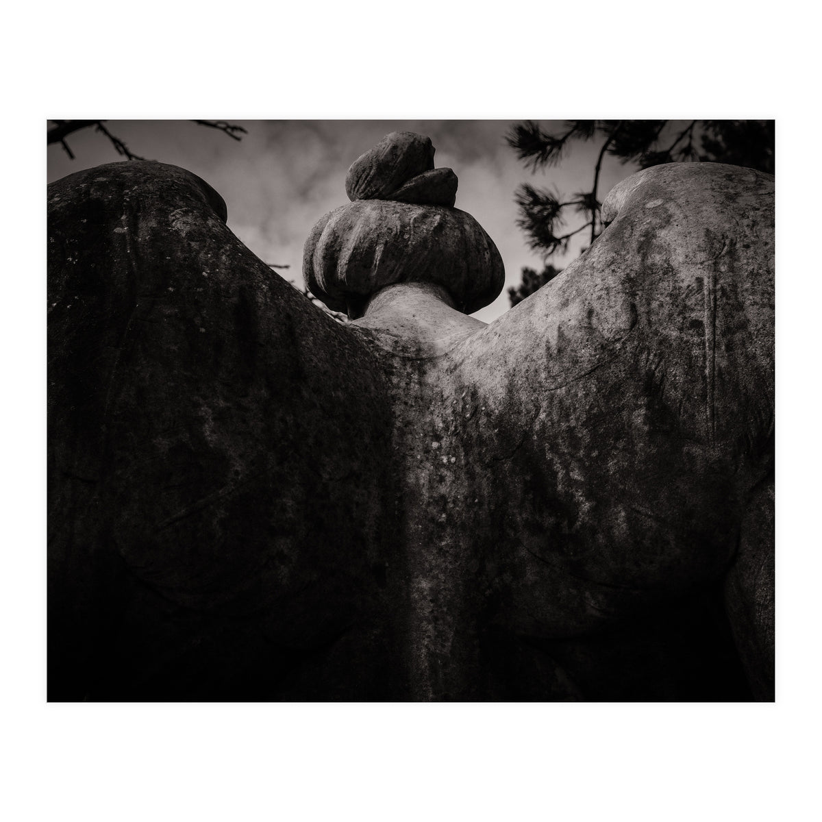 Angel Wings (Print Only)