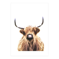 Highland Cow Portrait (Print Only)