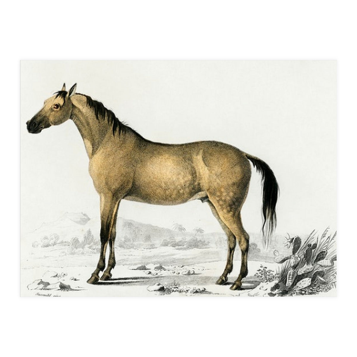 Horse (Print Only)