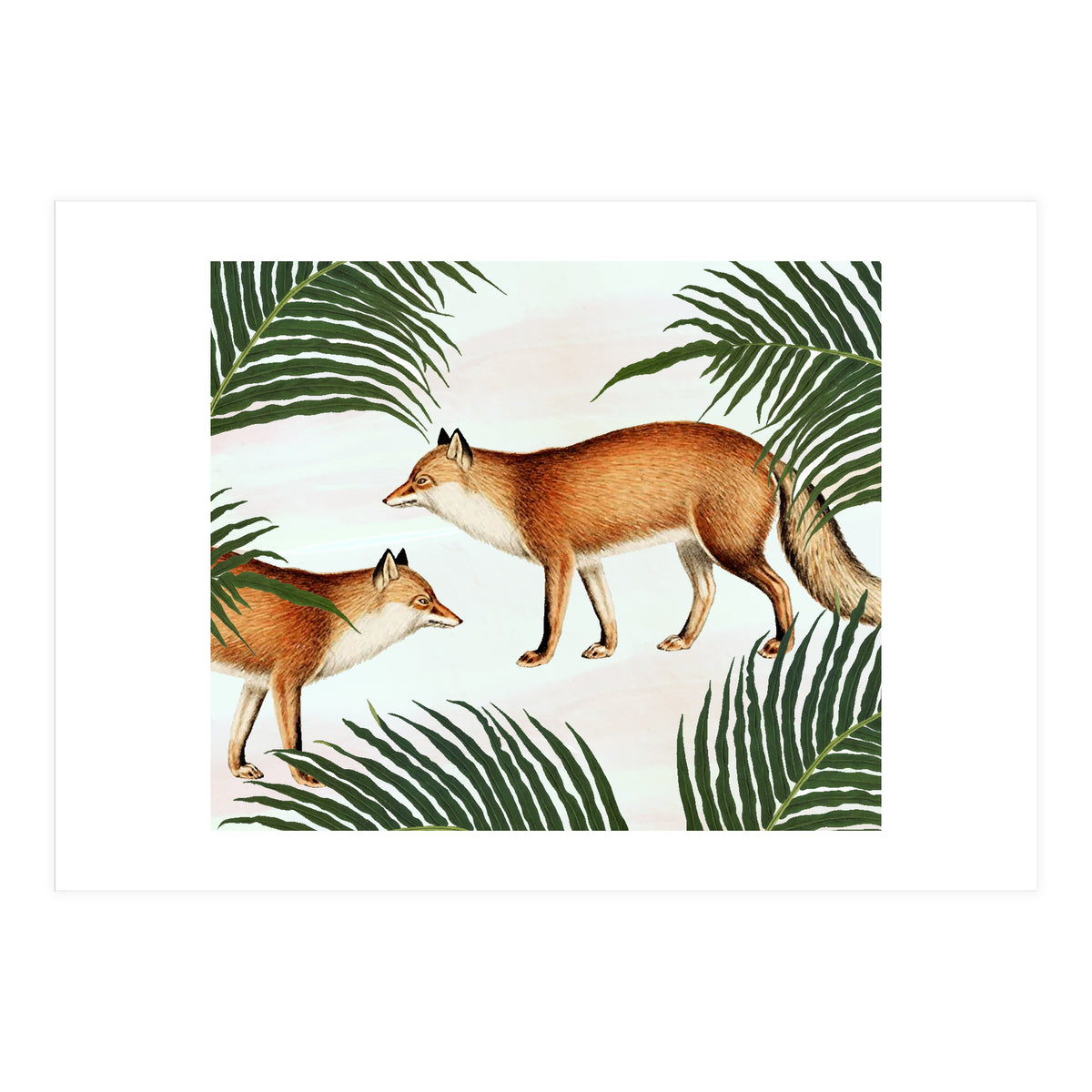 Red Fox Pair (Print Only)