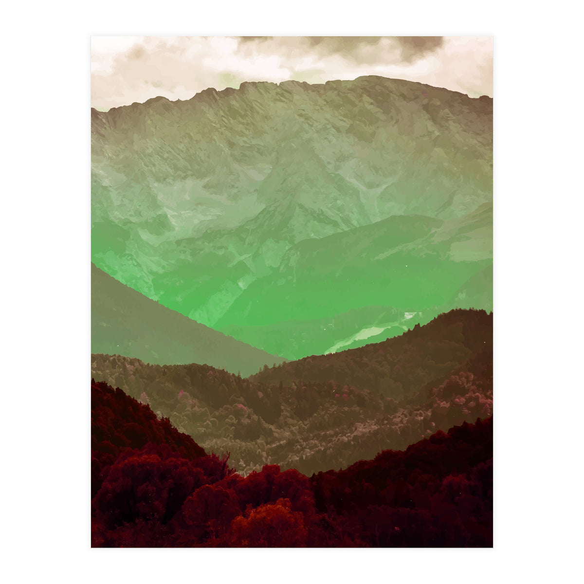 Philosophy & Purpose (Print Only)