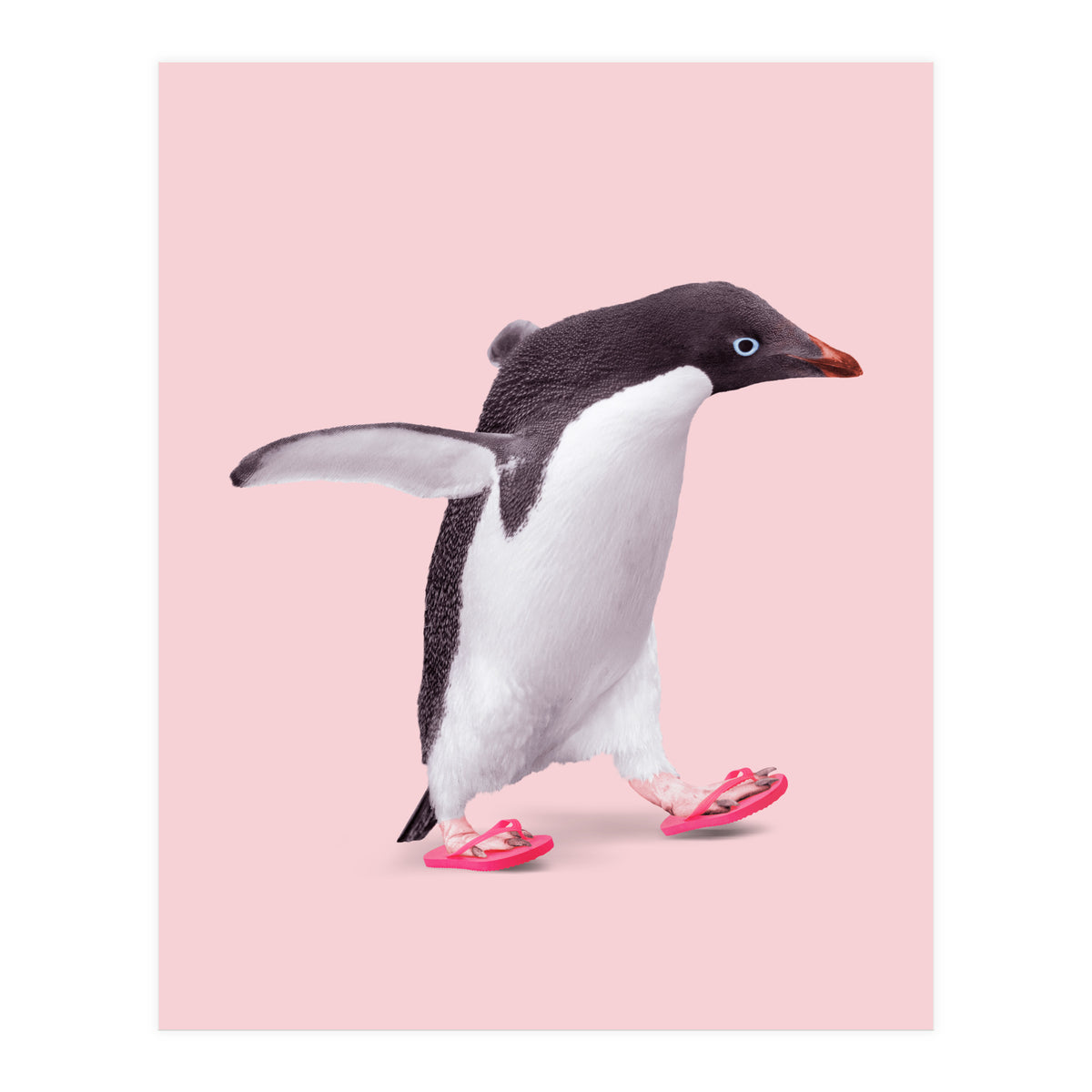 Flip Flop Penguin (Print Only)