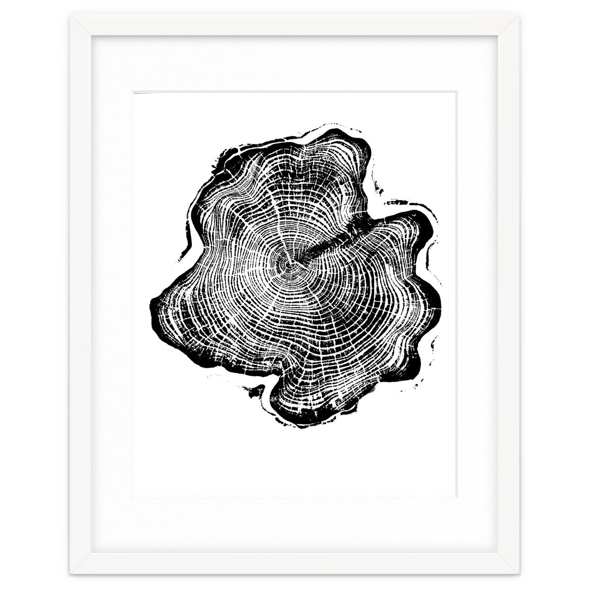 Alaskan Cypress, Tree Ring Art Print, Woodblock