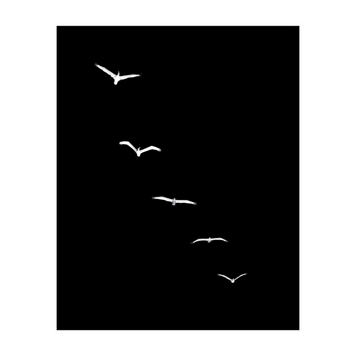 Heavenly Creatures Dark (Print Only)