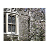 Inner Temple Gardens (Print Only) thumbnail