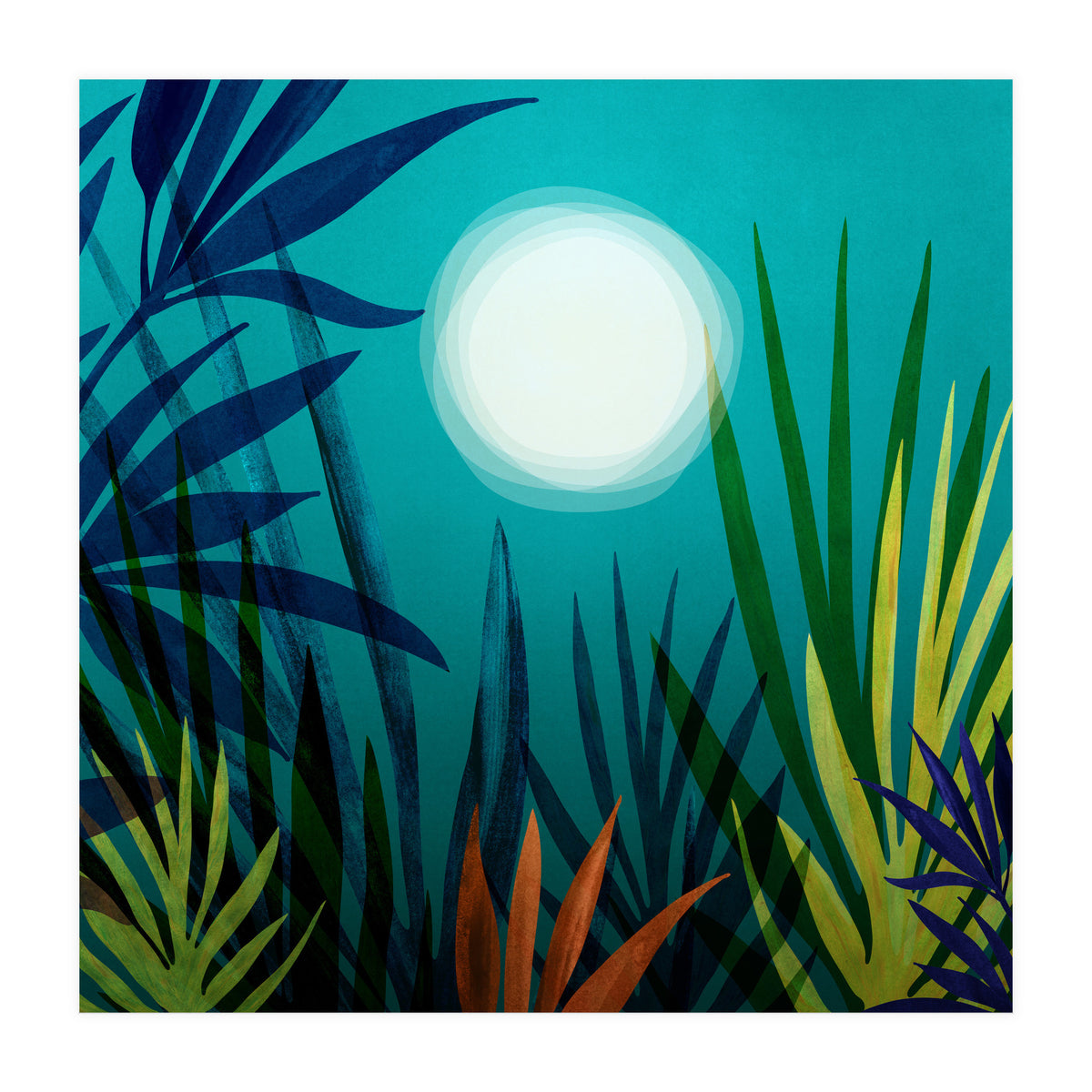 Midnight In The Jungle (Print Only)