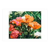 Blossoming Florals (Print Only) thumbnail