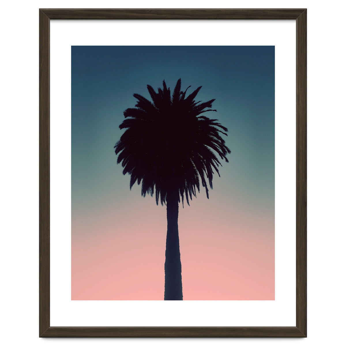 Sundown Palm