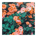 Vintage Blossom Ii (Print Only) thumbnail