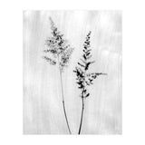 Delicate Wildflowers (Print Only) thumbnail