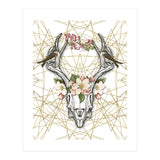 Boho Skull (Print Only) thumbnail