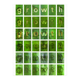 growth (Print Only) thumbnail