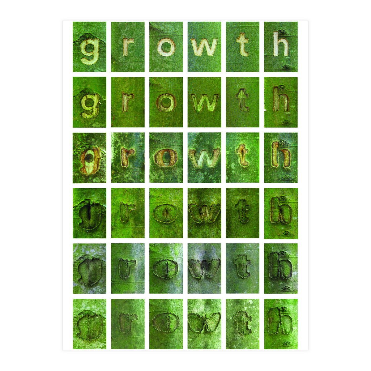 growth (Print Only)