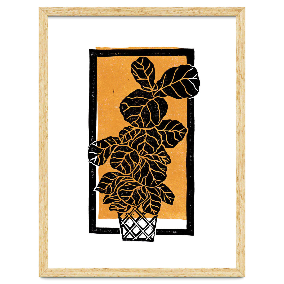 Fiddle Leaf Fig Clean + Sunlight