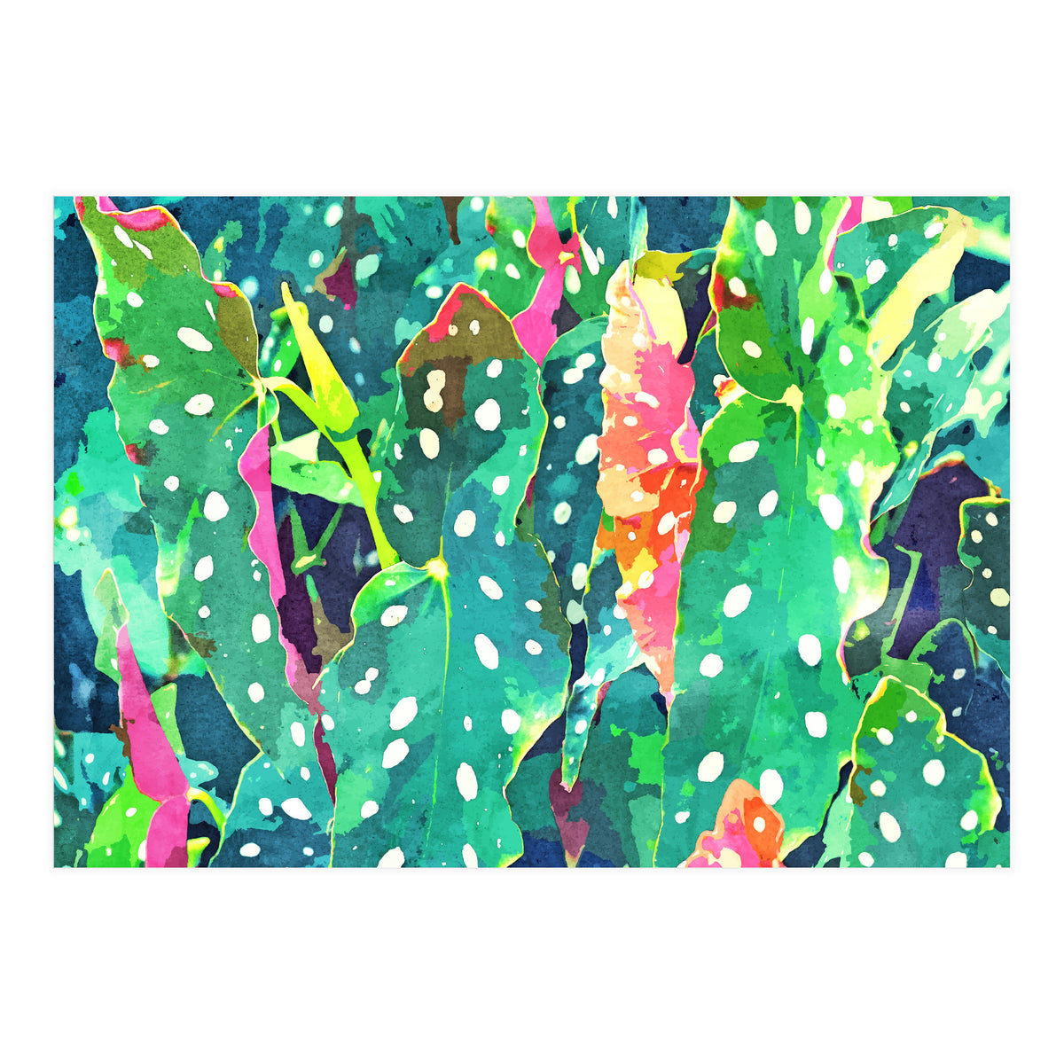 The Polka Dots Plant (Print Only)