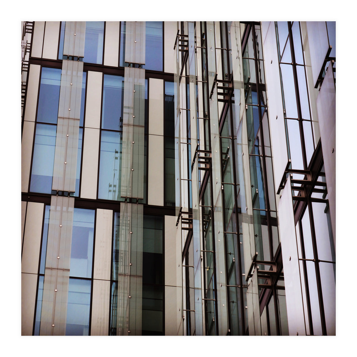 305 E9 E2 D 3758 4571 9 F51 C94 Aabd2 Ef43 (Print Only)