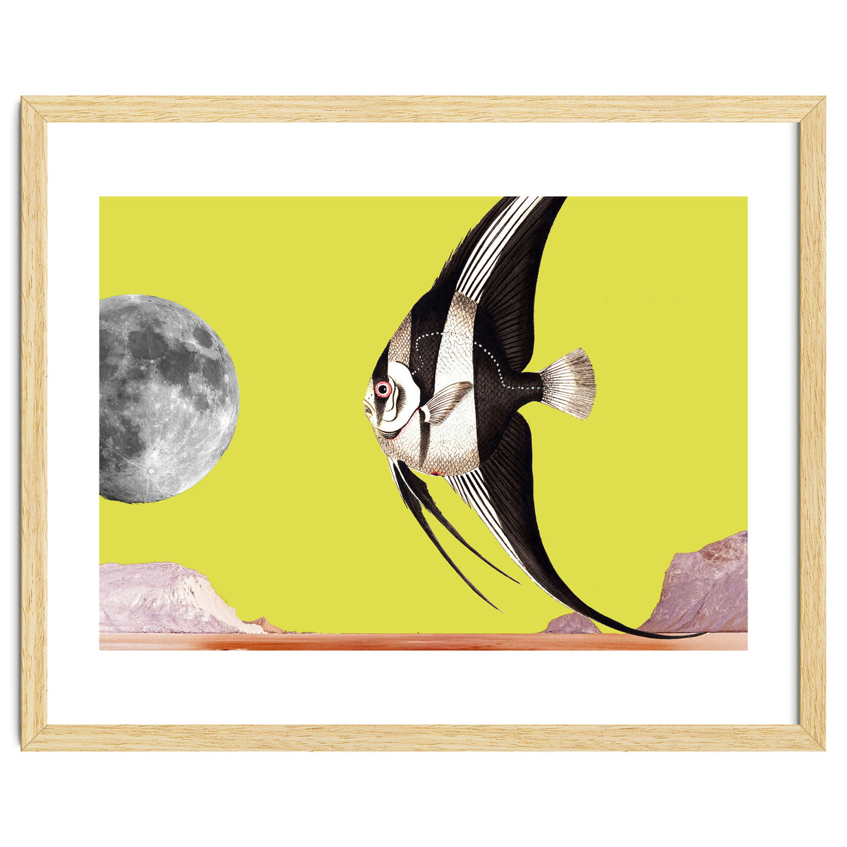 Plenty of fish in the sea yellow