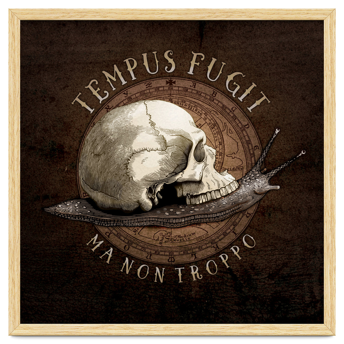 Tempus Fugit (ma non troppo)